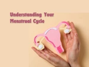 Hands holding uterus model – understanding the menstrual cycle and female reproductive health