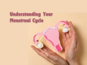Hands holding uterus model – understanding the menstrual cycle and female reproductive health
