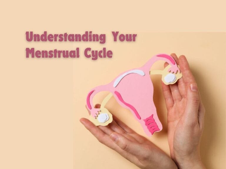 Hands holding uterus model – understanding the menstrual cycle and female reproductive health