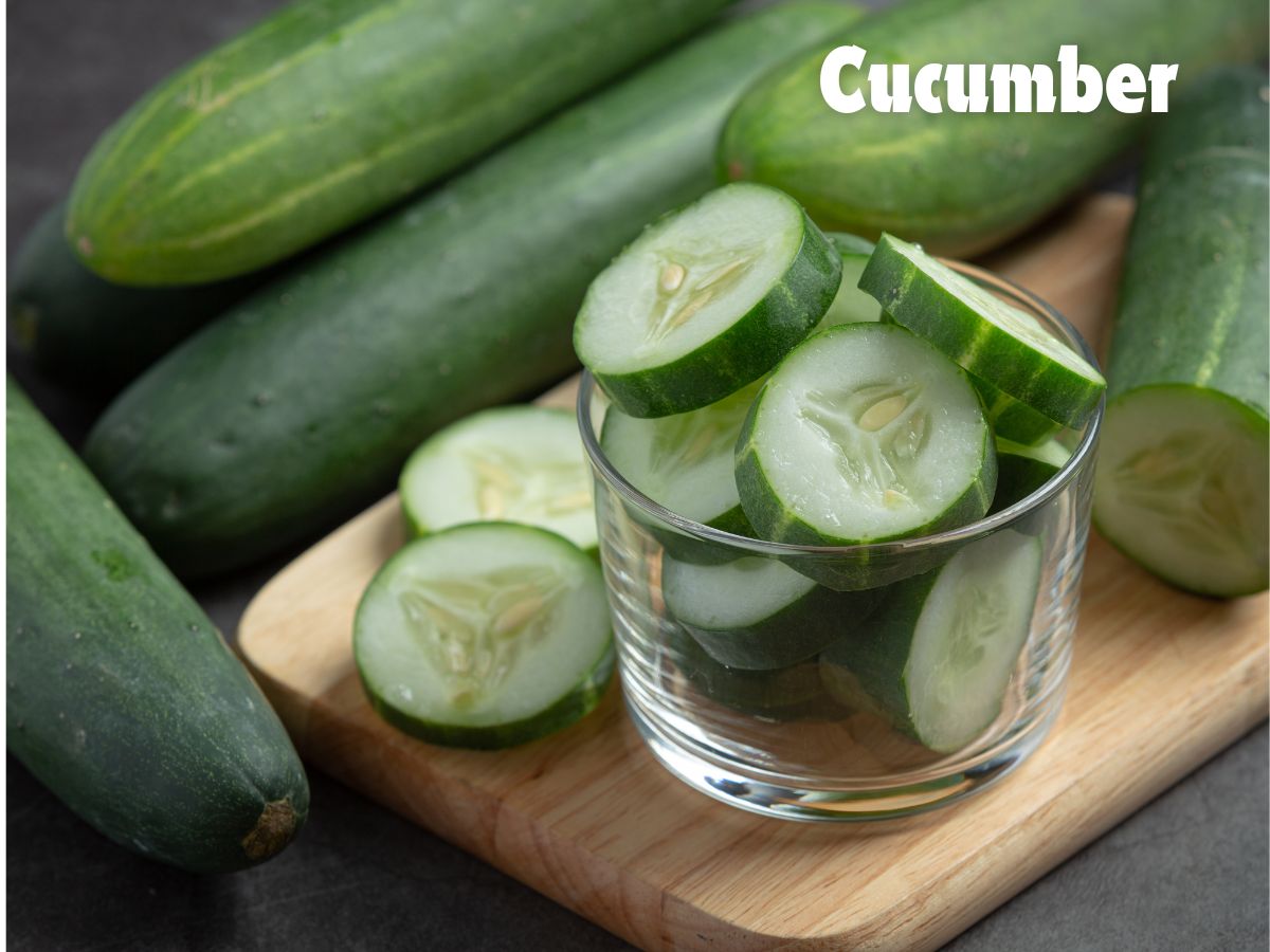 Cucumber