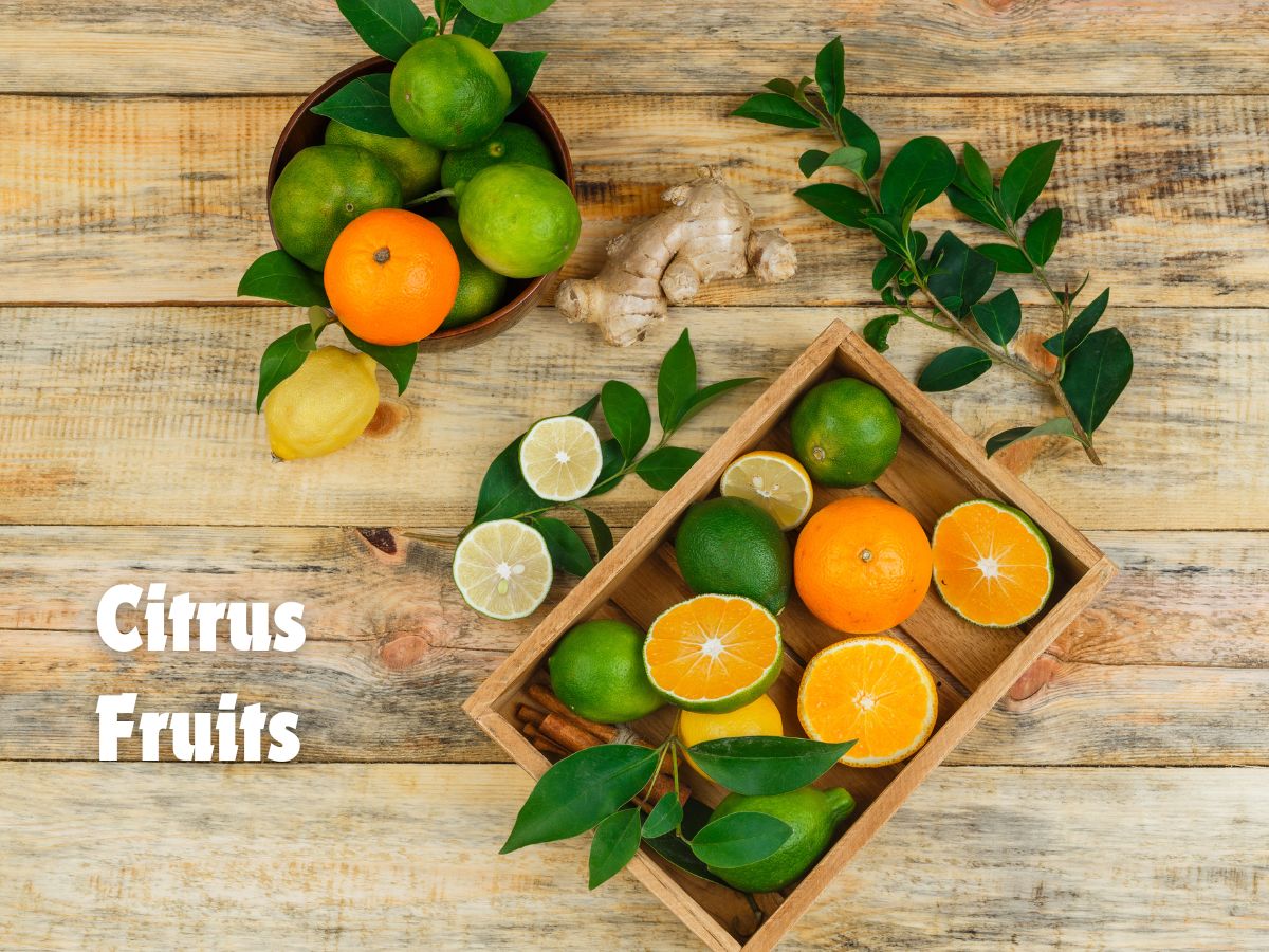 Citrus Fruits