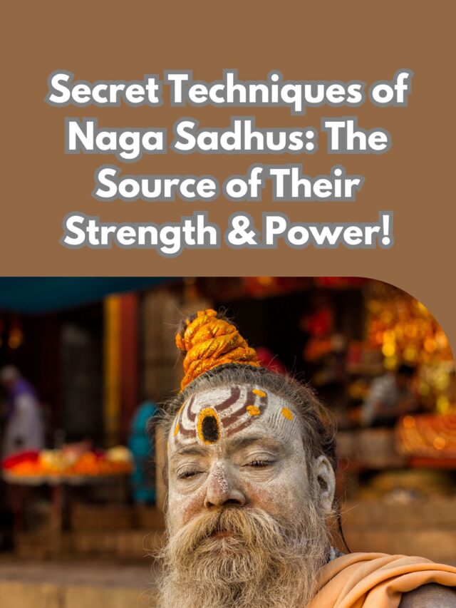 Secret Techniques of Naga Sadhus: The Source of Their Strength & Power!