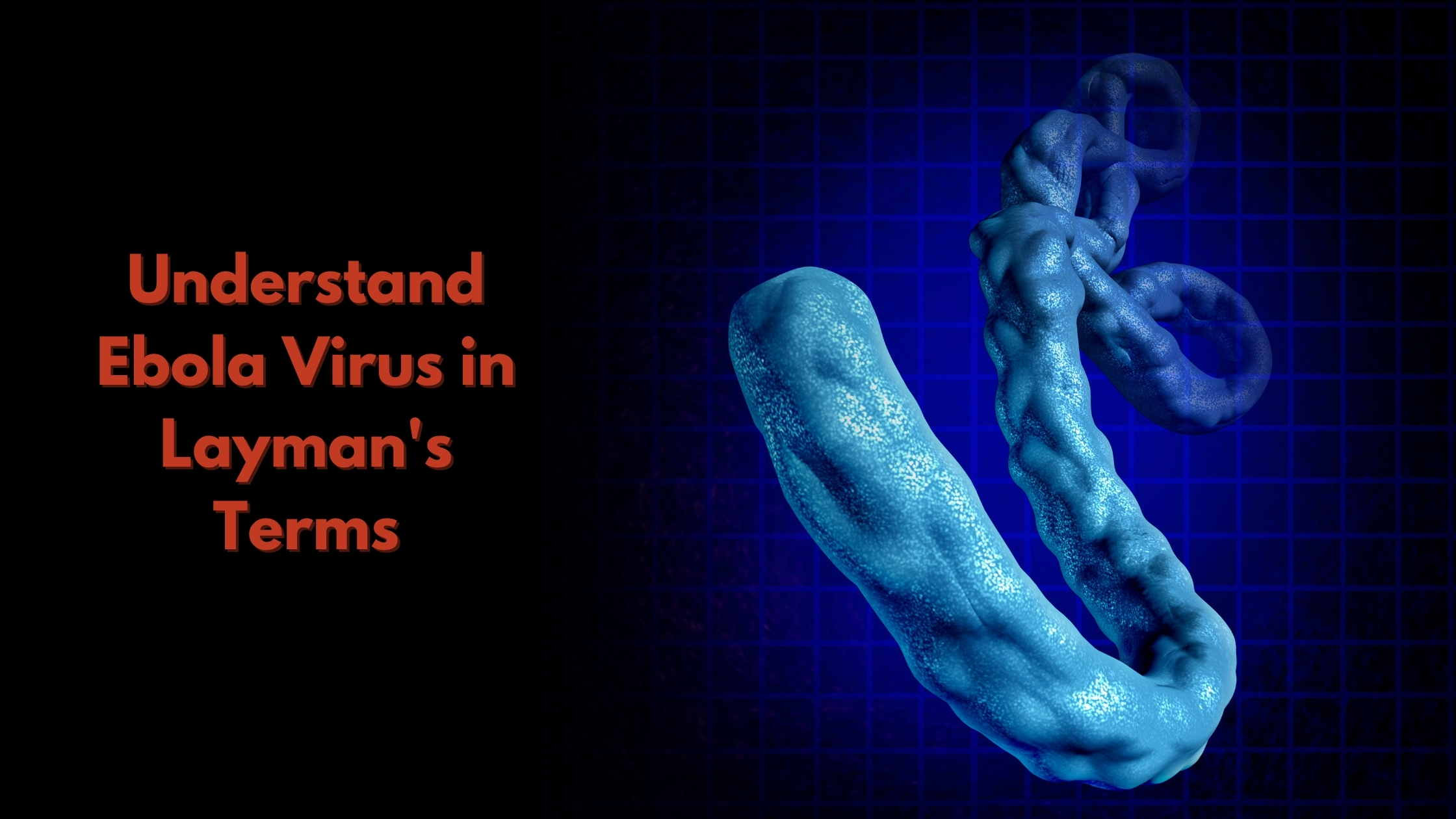 Ebola virus explained in the simplest way possible