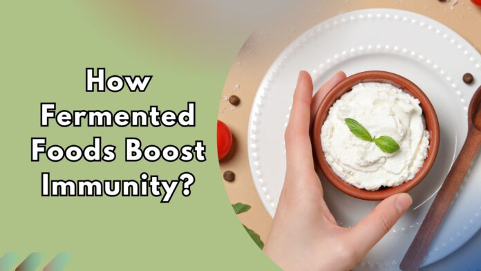 Bowl of fresh homemade yogurt with basil leaves showing benefits of fermented foods for immunity.
