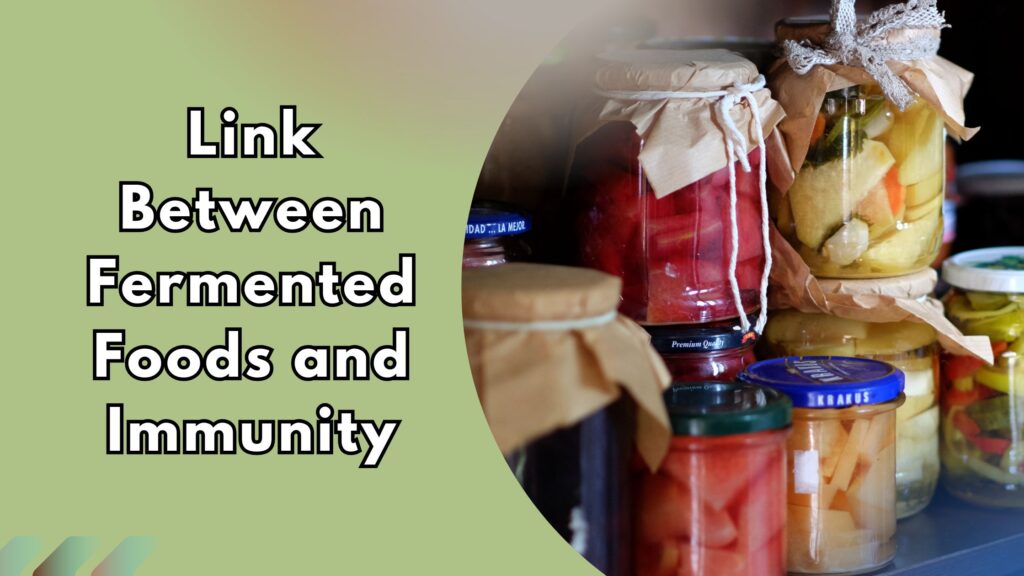 Assorted jars of homemade pickles and vegetables showing probiotics for immune health.