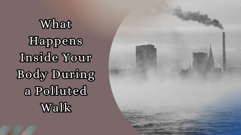 What Happens Inside Your Body During a Polluted Walk