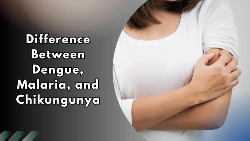 Difference between dengue, malaria and chikungunya symptoms