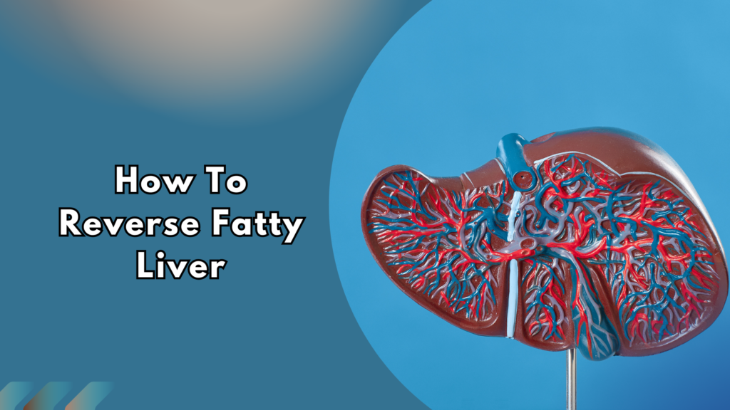 Illustration showing a human liver for reversing fatty liver through healthy lifestyle changes