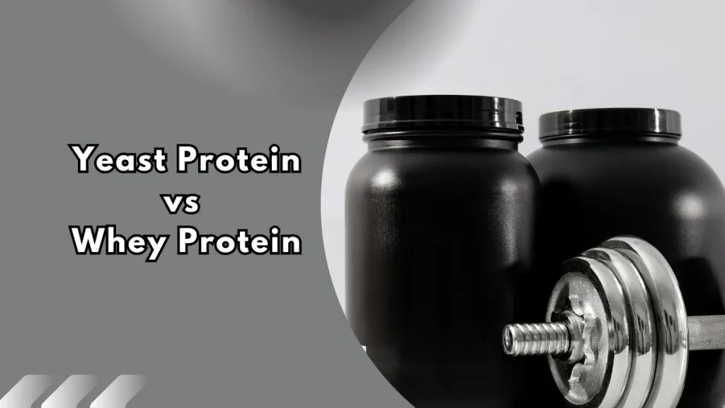 yeast-protein-vs-whey-protein Two black protein powder tubs beside a silver dumbbell weight plate, with text reading "Yeast Protein vs Whey Protein"